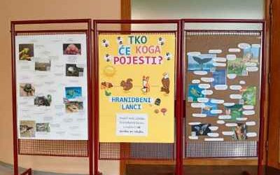 Izložba “Tko će koga pojesti? – hranidbeni lanci” u školskoj knjižnici