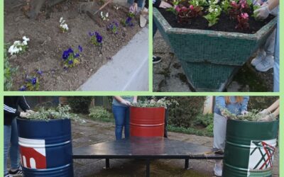 UZ LIPA II u cvjetnjaku